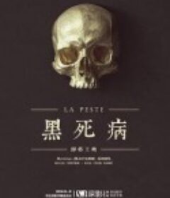 黑死病 第一季 La peste Season 1            (2017)