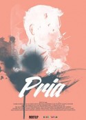 真男人 Pria            (2017)