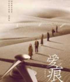 爱·之痕            (2019)