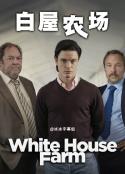 白屋农场谋杀案 White House Farm            (2020)