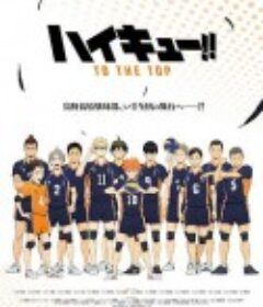 排球少年 第四季 ハイキュー!! TO THE TOP            (2020)