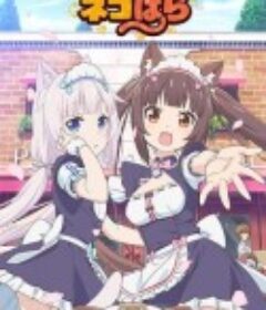 猫娘乐园 ネコぱら            (2020)