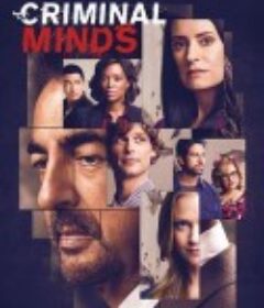 犯罪心理 第十五季 Criminal Minds Season 15            (2020)