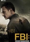 联邦调查局：通缉要犯 第一季 FBI: Most Wanted Season 1            (2020)