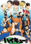 排球少年 ハイキュー!!            (2014)