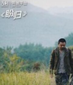 盼归            (2019)