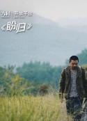 盼归            (2019)