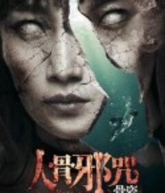 骨瓷            (2019)
