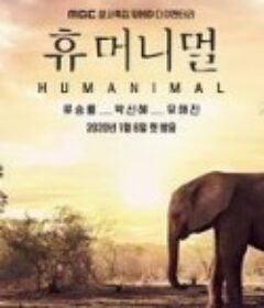 人类-动物 휴머니멀            (2020)