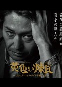 黄砖～骗过弗兰克·劳埃德·赖特的男人～ 黄色い煉瓦～フランク・ロイド・ライトを騙した男～            (2019)