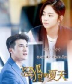 狐狸的夏天            (2017)