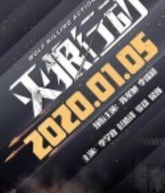 灭狼行动 特种兵王之绝不妥协            (2019)