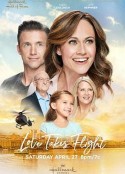 爱情飞逝 Love Takes Flight            (2019)