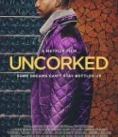 醇美人生 Uncorked            (2020)