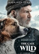 野性的呼唤 The Call of the Wild            (2020)