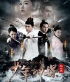少年神探狄仁杰            (2014)