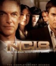 海军罪案调查处 1-20季 NCIS: Naval Criminal Investigative Service Season 1-20            (2003-2022)