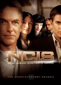 海军罪案调查处 1-20季 NCIS: Naval Criminal Investigative Service Season 1-20            (2003-2022)