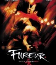 狂怒 Fureur            (2003)
