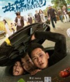 站住！小偷            (2020)