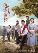 远方的山楂树            (2019)