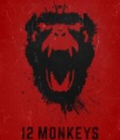 十二猴子 第一季 12 Monkeys Season 1            (2015)
