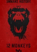 十二猴子 第一季 12 Monkeys Season 1            (2015)