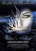 黑色尾流 Black Wake            (2016)