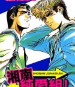 湘南纯爱组 湘南純愛組!            (1994)