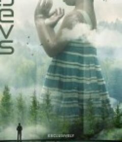 开发者 Devs            (2020)