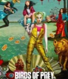 猛禽小队和哈莉·奎茵 Birds of Prey: And the Fantabulous Emancipation of One Harley Quinn            (2020)