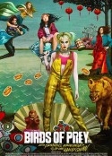 猛禽小队和哈莉·奎茵 Birds of Prey: And the Fantabulous Emancipation of One Harley Quinn            (2020)