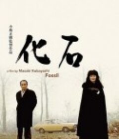 化石            (1975)