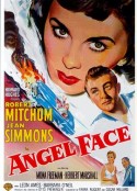 魂断今宵 Angel Face            (1953)