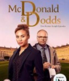 探案拍档 第一季 McDonald & Dodds Season 1 (2020)