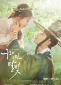 云画的月光 구르미 그린 달빛  台配国语版  (2016)