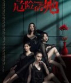 危险的她            (2020)