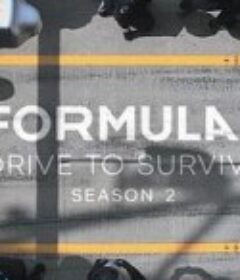一级方程式：疾速争胜 第二季 Formula 1: Drive to Survive Season 2            (2020)