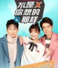 小姐姐不是你想的那样     (2020)