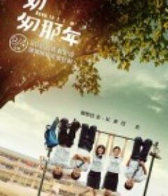 匆匆那年            (2014)