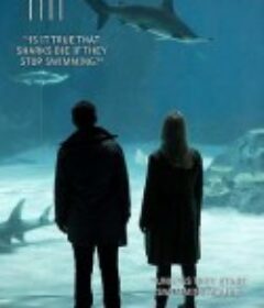 桥 第四季 Bron - Säsong 4            (2018)