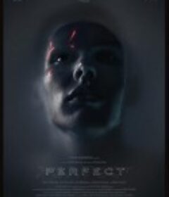 完美 Perfect            (2018)