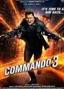 一个人的突击队3 Commando 3            (2019)
