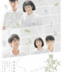 那年夏天有风吹过            (2019)