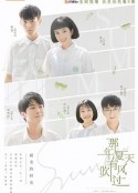 那年夏天有风吹过            (2019)