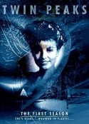 双峰 第一季 Twin Peaks Season 1            (1990)