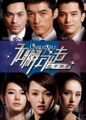 无懈可击之高手如林            (2011)
