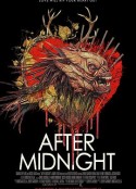 午夜之后 After Midnight            (2019)