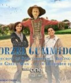 华泽尔·古米治 Worzel Gummidge            (2019)