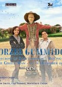 华泽尔·古米治 Worzel Gummidge            (2019)